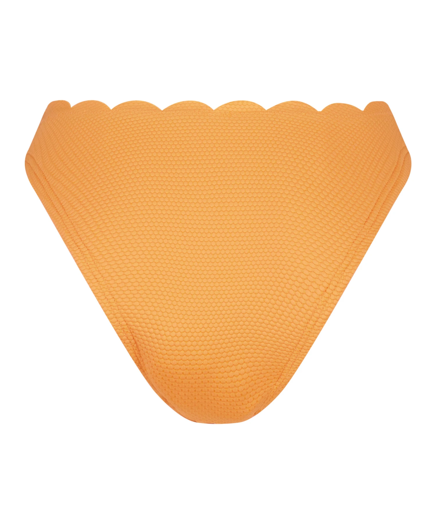 Hoch Ausgeschnittener Bikini-Slip Scallop 7 Hoch Ausgeschnittener Bikini-Slip Scallop – Bild 5