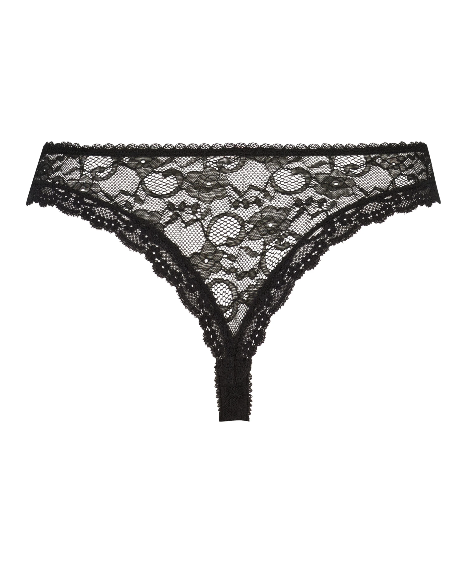 Hoher Mini-Brazilian Riley 7 Hoher Mini-Brazilian Riley – Bild 5